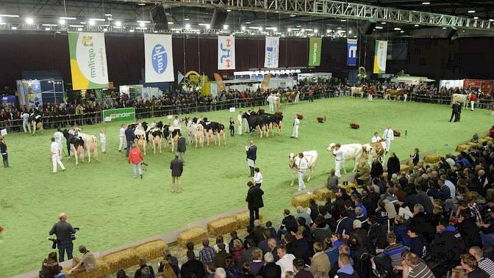 Ondanks het strenge winterweer werd de Holland Holstein sHow goed bezocht.