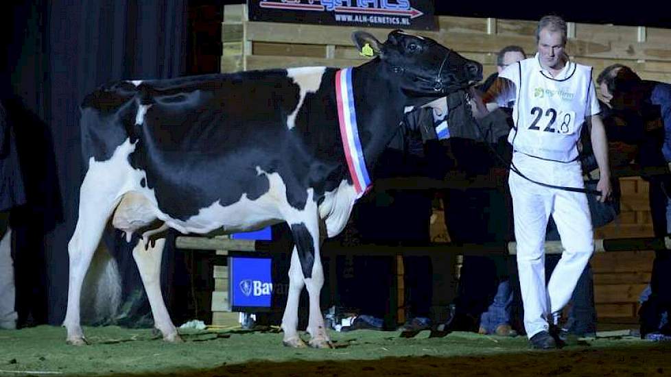 Kampioene van de zwartbonte middenklasse Bons-Holsteins Ella 169 (v. Stormatic).
