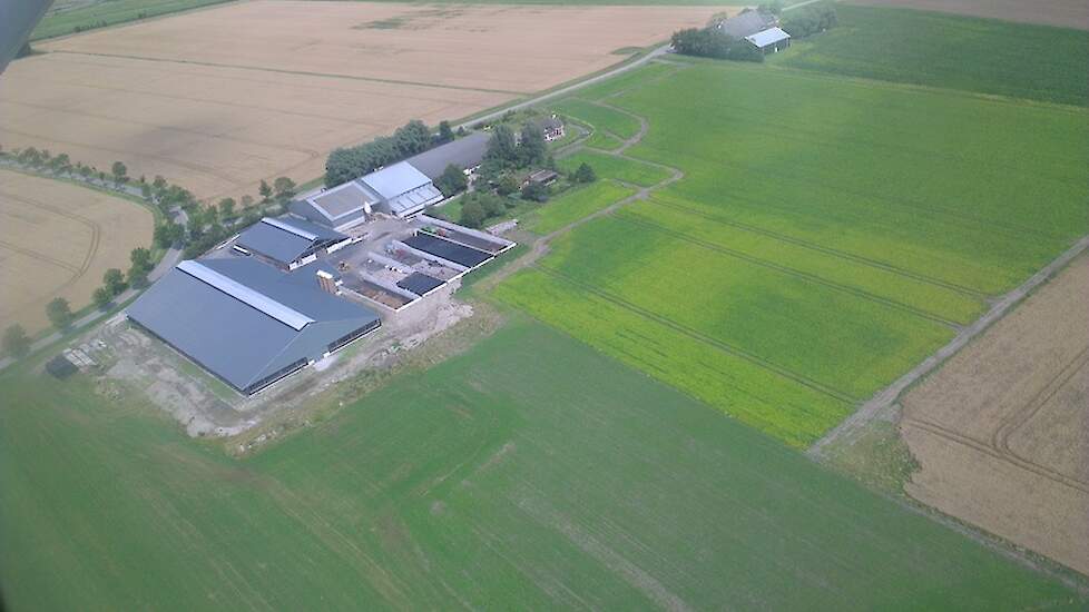 Fotoserie: Van 60 naar 240 koeien in een paar jaar