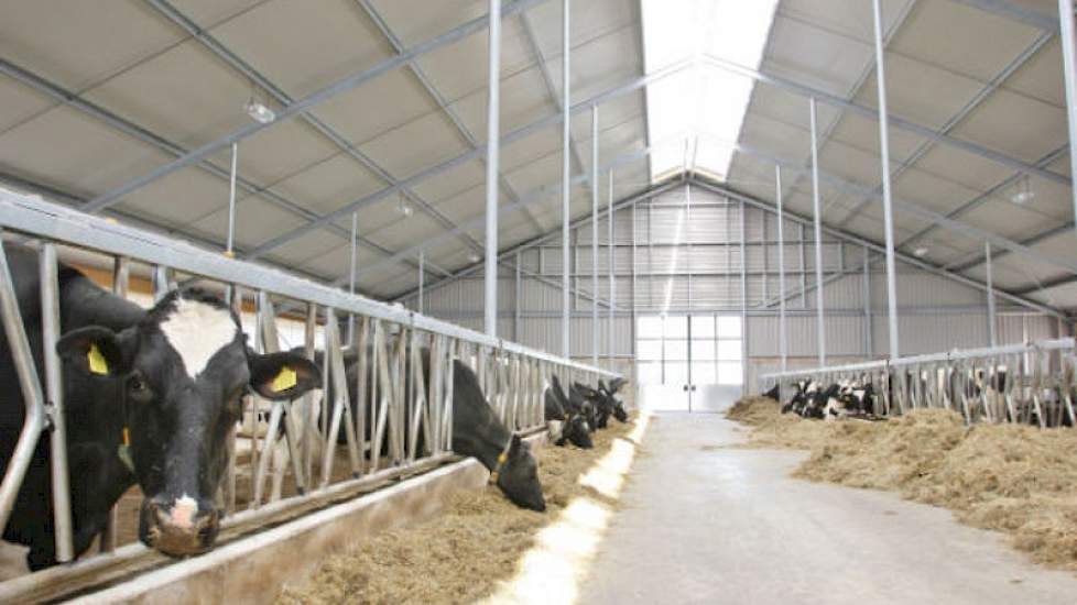 De stal voldoet aan de Maatlat Duurzame Veehouderij.