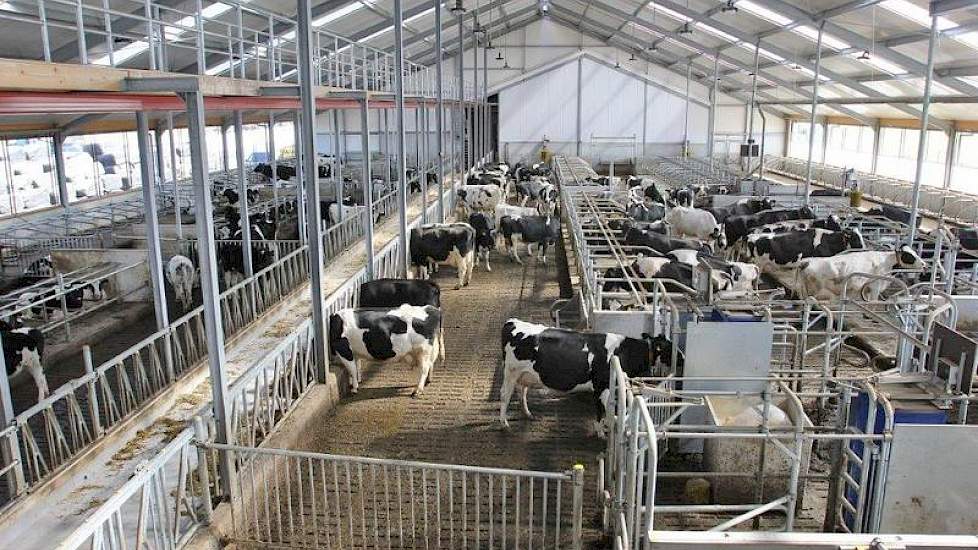 De stal van Reijm voldoet naast de MDV ook aan de Integraal Duurzame Stallen. Een van de investeringen die Reijm hiervoor deed, was de emissie-arme Eco-vloer.