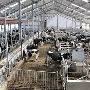 De stal van Reijm voldoet naast de MDV ook aan de Integraal Duurzame Stallen. Een van de investeringen die Reijm hiervoor deed, was de emissie-arme Eco-vloer.