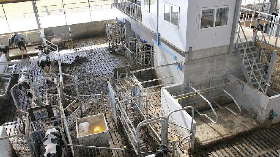 De veehouder hanteert FeedFirst bij de twee VMS’en van DeLaval  Dat is ook de reden dat hij voor de duurdere boxopstelling koos met twee enkele en één dubbele rij.