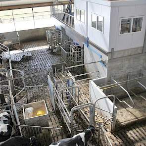 De veehouder hanteert FeedFirst bij de twee VMS’en van DeLaval  Dat is ook de reden dat hij voor de duurdere boxopstelling koos met twee enkele en één dubbele rij.