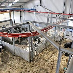Eerst lost hij links. Wanneer hij aan het eind van de 25-meter lange lus is, gaat hij achterwaarts terug en lost rechts. Daarna laat hij zich weer zakken.