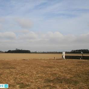 Bij weerman Jannes Wiersema in Roodeschool kleurt het gras helemaal bruin.