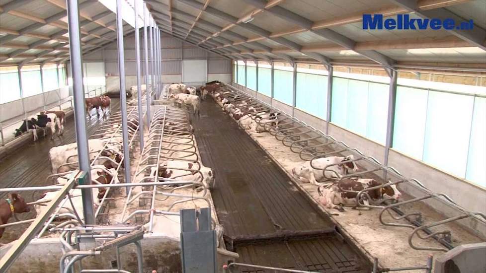 Nieuwe MDV ligboxenstal Koot