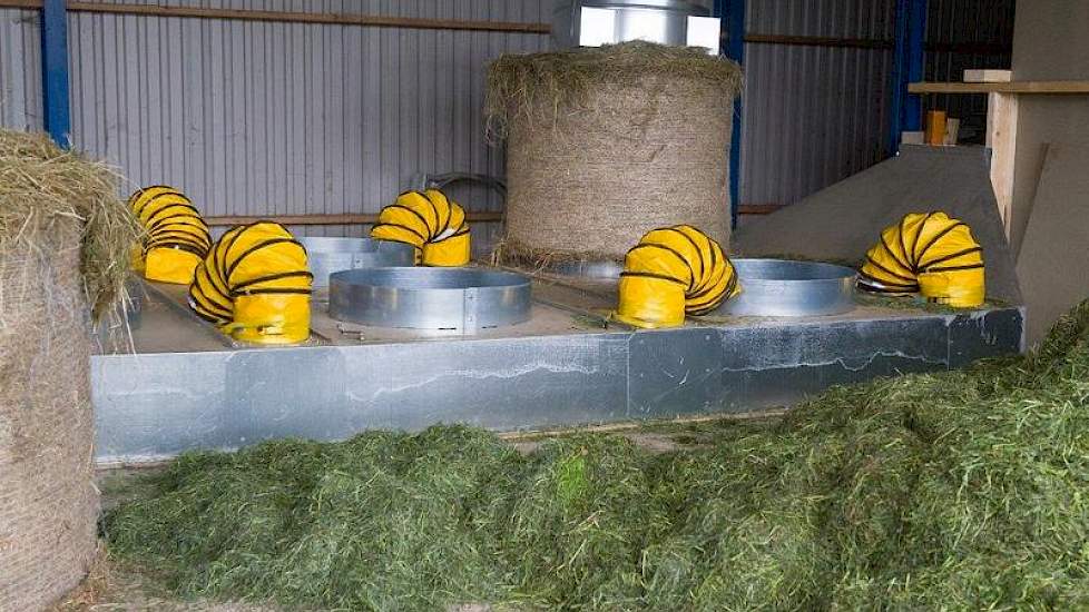 De laatste balen van vorig jaar staan nog op de grondbak. Als de balen nog vers zijn, worden ze hierop in twee tot drie dagen nagedroogd. De lucht wordt er van onderaf doorheen geblazen. De droogkosten bedragen € 4 à €4,50 per baal. „Als je ze inwikkelt i