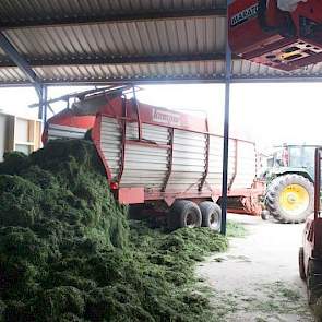 Dit gras dat hier wordt gelost is de ochtend ervoor gemaaid en geschud en deze dag nog een keer geschud en ‘s middags opgeraapt. Na een veldperiode van anderhalve dag gaat het bij een zo hoog mogelijk drogestofgehalte de droogbak in, waar het in twee tot