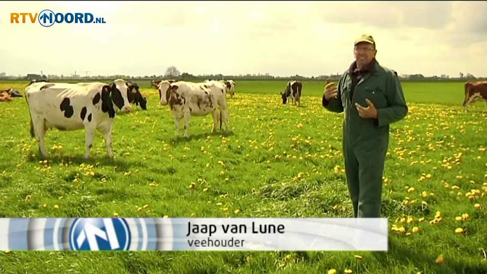 Kalfje Arriva is kerngezond - RTV Noord