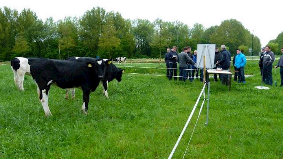 Bij de pinken in de wei voor het nieuwe hoofdgebouw van CAH Vilentum in Dronten zet weidegang specialist Bert Philipsen van Wageningen Livestock Research een groep studenten aan het werk. Is het grasaanbod in de wei afgestemd op de vraag van het jongvee?