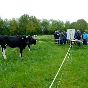Bij de pinken in de wei voor het nieuwe hoofdgebouw van CAH Vilentum in Dronten zet weidegang specialist Bert Philipsen van Wageningen Livestock Research een groep studenten aan het werk. Is het grasaanbod in de wei afgestemd op de vraag van het jongvee?