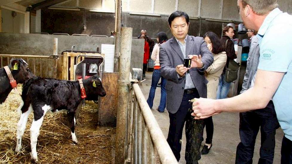 Uitleg bij de kalverdrinkautomaat: van melkpoeder naar melk voor de ’little baby cow’s’.