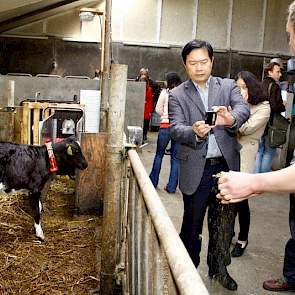 Uitleg bij de kalverdrinkautomaat: van melkpoeder naar melk voor de ’little baby cow’s’.