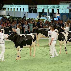 De groep van Delta Astro (Goldwyn x O Man) kreeg van Van Velzen met een 5,0 de laagste waardering. „De dieren waren te groot, hadden te weinig melkopdruk en de groep was niet uniform."
