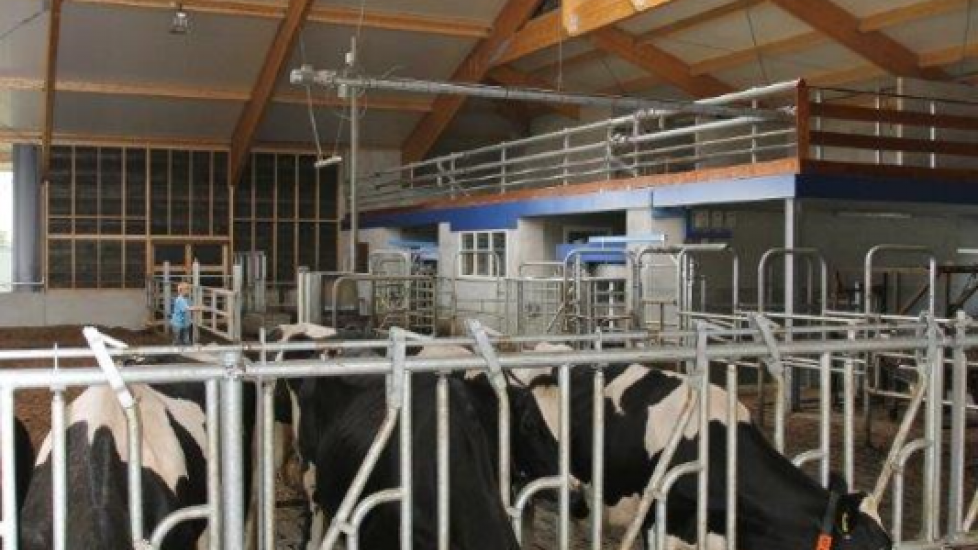 Het hout is tot in detail in de stal verwerkt. Zoals in de ruimte boven de twee Delaval melkrobots.
