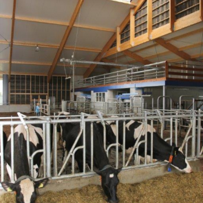 Het hout is tot in detail in de stal verwerkt. Zoals in de ruimte boven de twee Delaval melkrobots.