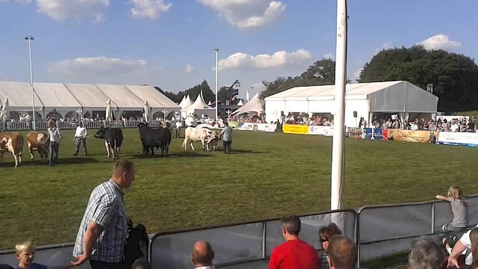 Landtage Nord 2013