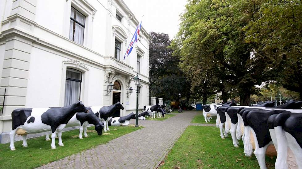 Buiten de 'Fryske Ambassade'kunstkoeien, twee rijen dik.