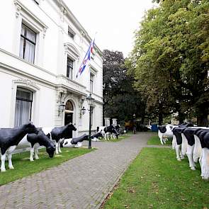 Buiten de 'Fryske Ambassade'kunstkoeien, twee rijen dik.