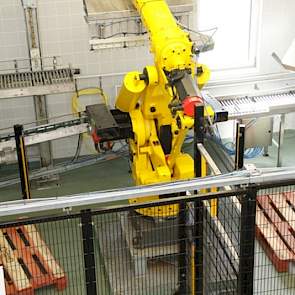 Grotere partijen worden met deze robotarm verwerkt.