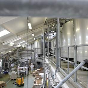 Via een ondergrondse leiding gaat de melk van de twee tanks in de stal, via een pasteurisator naar de vele kleinere tanks (rechts) in de zuivelhal.