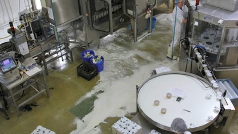 De zuivelhal heeft twee productielijnen. Achteraan de kartonnen pakken, vooraan (rechts) de bekers. De pakkenlijn staat net stil en wordt gereinigd voor een volgend product. Vandaar de melkresten en reinigingsmiddel op de vloer.