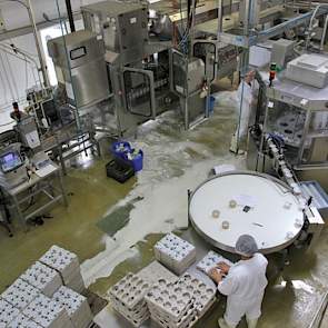 De zuivelhal heeft twee productielijnen. Achteraan de kartonnen pakken, vooraan (rechts) de bekers. De pakkenlijn staat net stil en wordt gereinigd voor een volgend product. Vandaar de melkresten en reinigingsmiddel op de vloer.