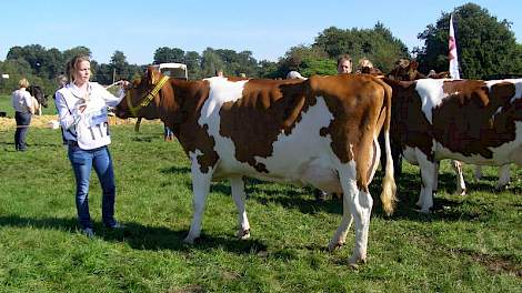 1A prijswinaar Gonda 61 (V:Jotan) van Janneke Diersen uit Voorst (Gem. Oude IJsselstreek.