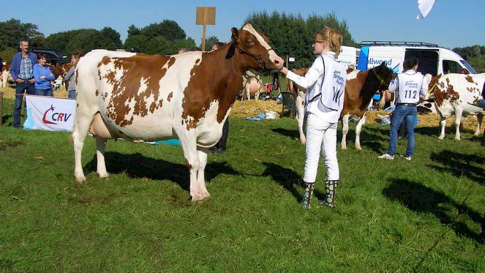 Nienke Regelink uit Laag Keppel (Gld.) werd vorig jaar reservekampioene met Madam 6 (Stadel x Kian, i.p.v Kian x Stadel). Nu moest ze genoegen nemen met een 1C plek.