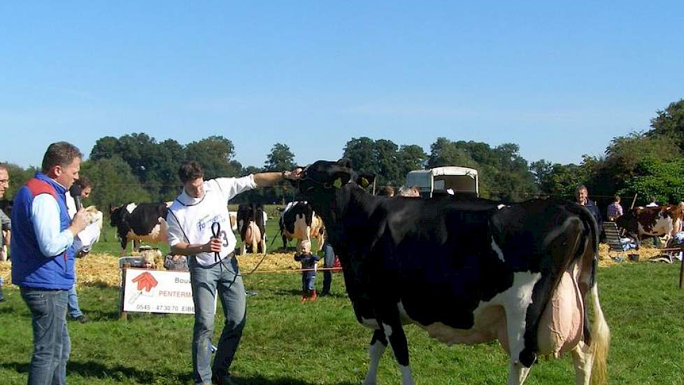 Reflection dochter Dita 33 van Te Selle uit Winterswijk won de CRV eiwitbokaal. Ze is ruim 9 jaar oud en produceerde 75.000 liter melk met gemiddeld ca. 3,60% eiwit.