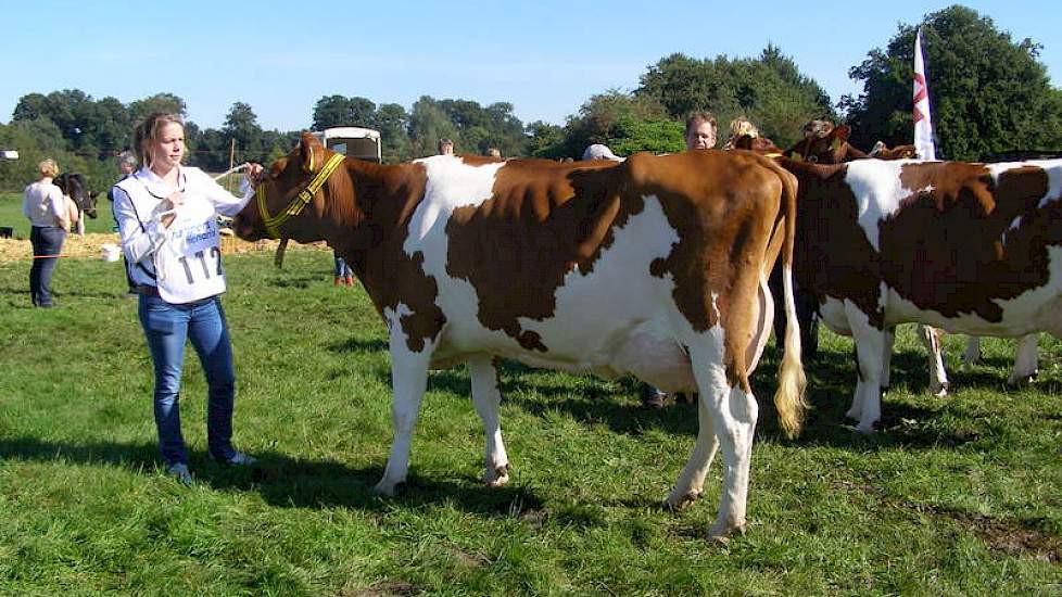 1A prijswinaar Gonda 61 (V:Jotan) van Janneke Diersen uit Voorst (Gem. Oude IJsselstreek.
