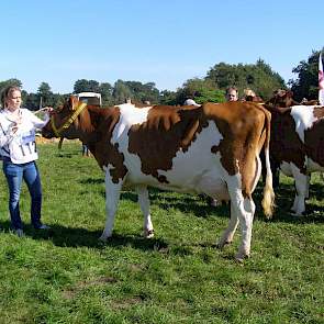 1A prijswinaar Gonda 61 (V:Jotan) van Janneke Diersen uit Voorst (Gem. Oude IJsselstreek.