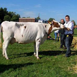 Henry ten Have won met tweedekalfs Twister dochter Alie 69 een 1A prijs.