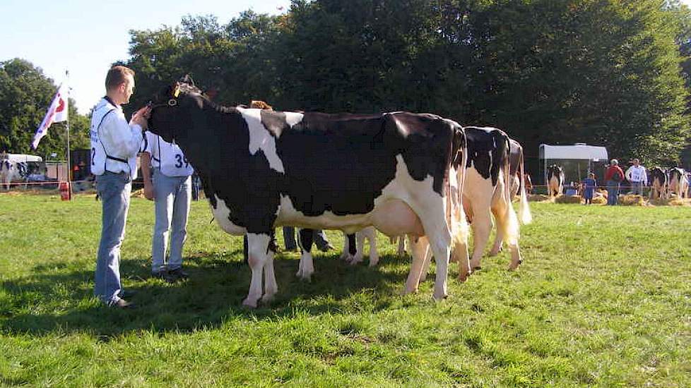 De familie Regelink uit Hengelo (Gld.) gaf negen koeien op voor de fokveedag. Met Duplex dochter Aaltje 16 behaalden ze een 1A prijs. Ook wonnen ze de zwartbont bedrijfsgroepen keuring.