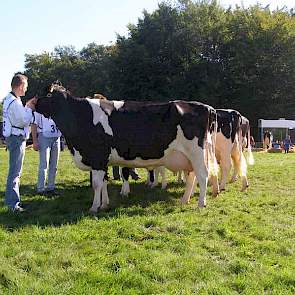 De familie Regelink uit Hengelo (Gld.) gaf negen koeien op voor de fokveedag. Met Duplex dochter Aaltje 16 behaalden ze een 1A prijs. Ook wonnen ze de zwartbont bedrijfsgroepen keuring.