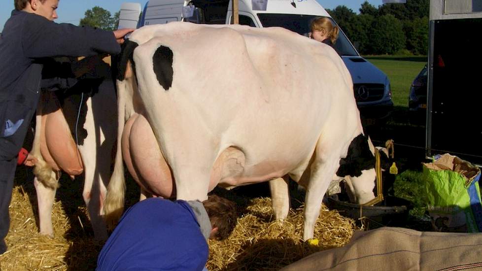Jochem en Mart-Jan Evers uit Velswijk (Gld.) in alle vroegte druk bezig met de laatste voorbereidingen.
