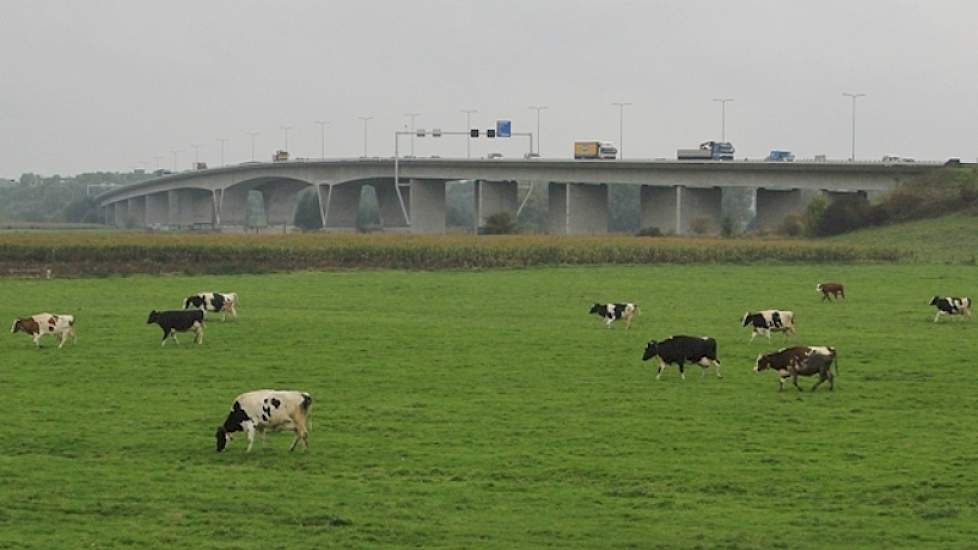 Terwijl het water aan beide kanten langs zijn erf stroomt, stroomt het verkeer juist 'over' zijn erf. Vanaf de drukke Pleijroute in Arnhem kijken duizenden automobisten dagelijks op Reijers' bedrijf.