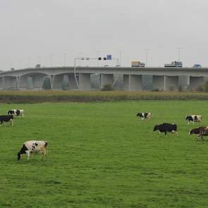 Terwijl het water aan beide kanten langs zijn erf stroomt, stroomt het verkeer juist 'over' zijn erf. Vanaf de drukke Pleijroute in Arnhem kijken duizenden automobisten dagelijks op Reijers' bedrijf.