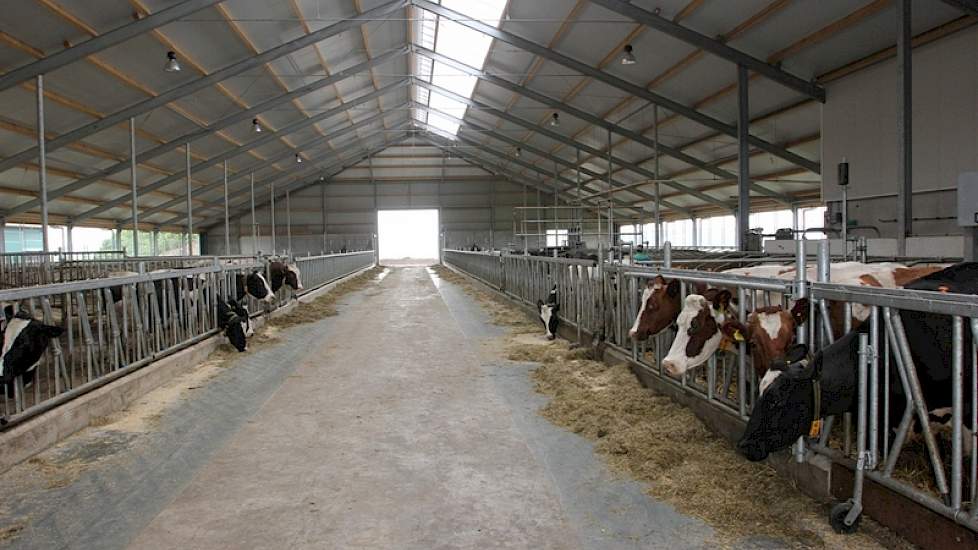 De stal werd volledig geisoleerd en kreeg een 3 + 3 indeling. Alleen het melkvee is in deze stal gehuisvest. Rechtsvoor bevindt zich de melkput.