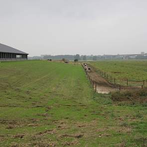 In het verleden stond bij hoog water soms ook het erf, met kuilen en al, blank. Dijken die Reijers in de jaren '80 aanlegde, brachten al verlichting. De nieuwe stal is nu op een 6 meter hoge terp gebouwd, waar 35.000 kuub zand voor werd aangerukt. "Ik heb