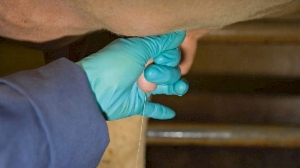 Uiergezondheid Award: geen 'bling-blingstal'