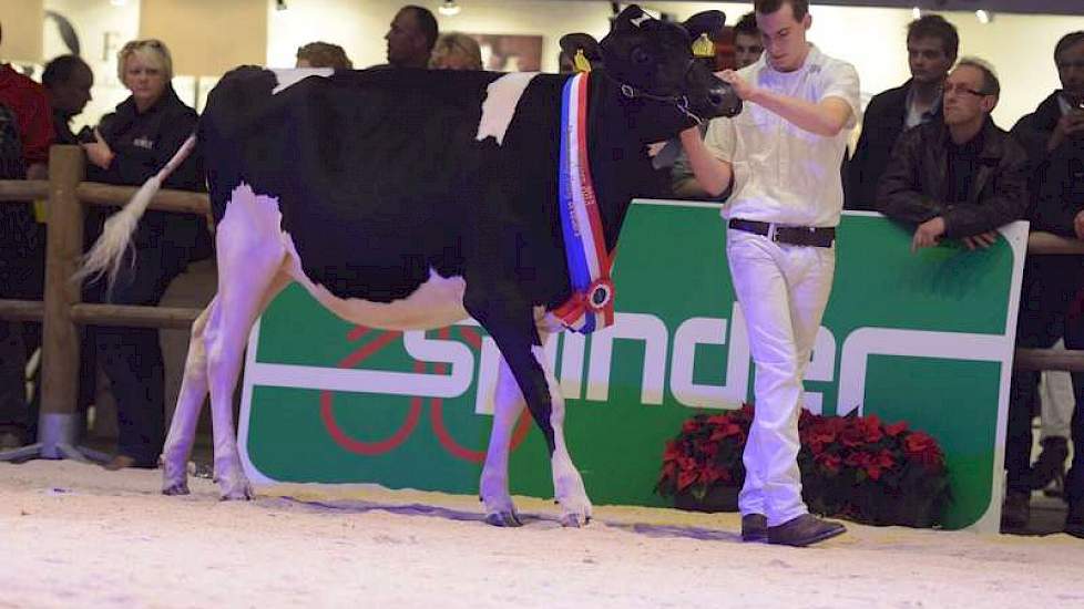 Jeroen van Beek met zijn Southland Windbrook Gina.