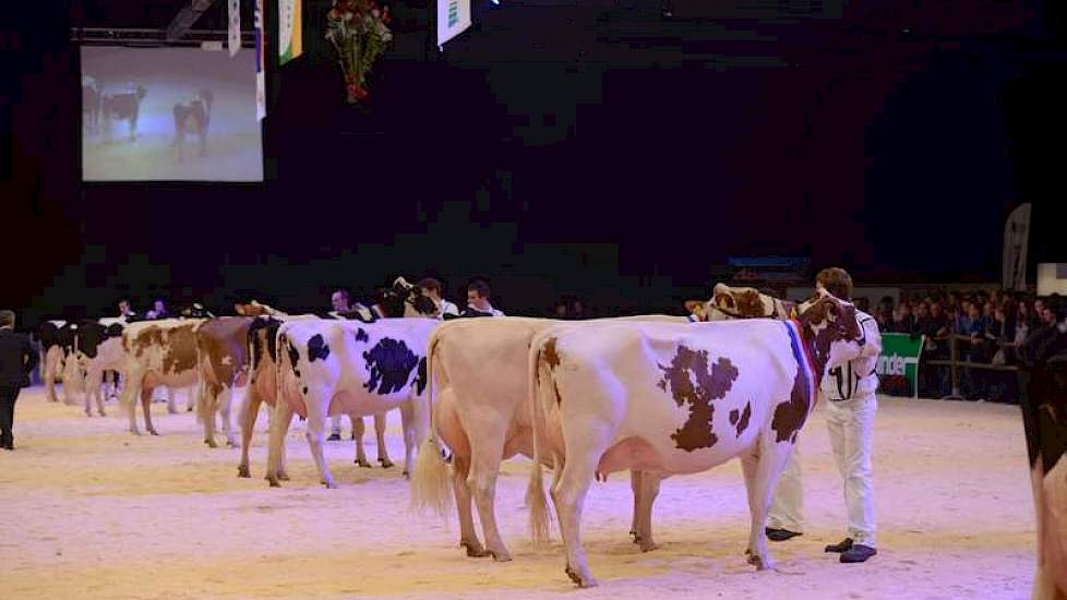 De show werd afgesloten met het défilé waarbij alle kampioenen nogmaals hun opwachting maakten en de algemeen kampioenen, Wilhelmina 358 en Reiertjeshoeve Geertje 407, werden benoemd.