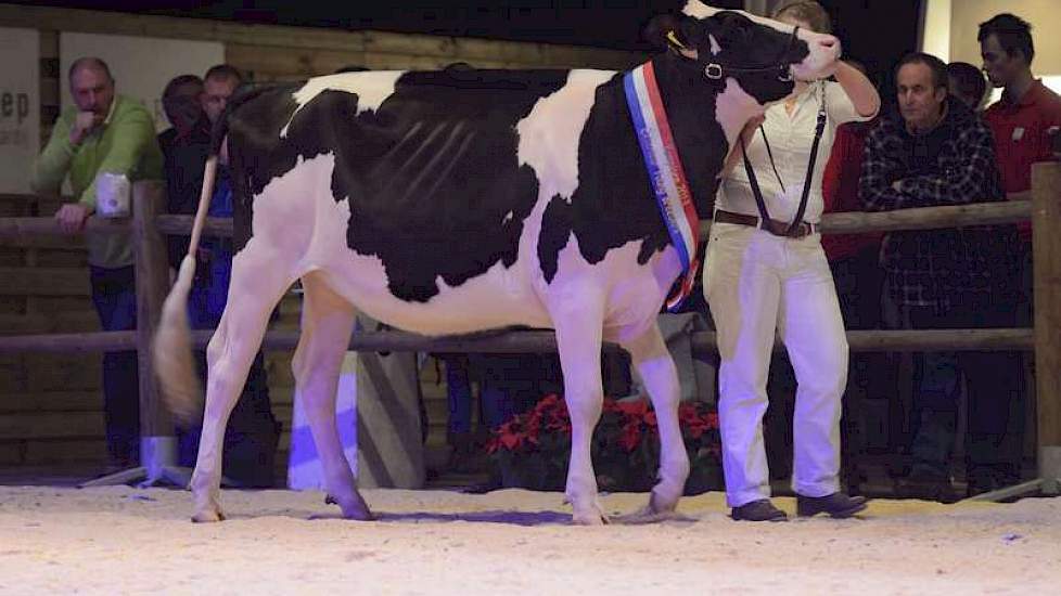 Het kampioenschap in de categorie exterieur ging naar Topcross Jaan 600 (v. Acme) van de familie Jacobi in Garijp.