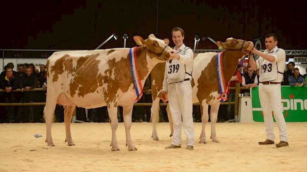 Links kampioene Annie 127 van Pellikaan en rechts reservekampioene Emma 220 van Hermanussen.