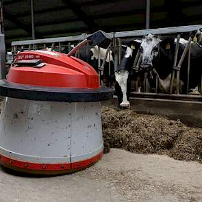 Een Juno-voerrobot zorgt dat ervoor dat er continu voer voor de koeien ligt. In de 3 + 3 –rijïge stal is maar voor 60 procent van de koeien vreetruimte, dus dan moet er altijd voer voor het voerhek liggen.