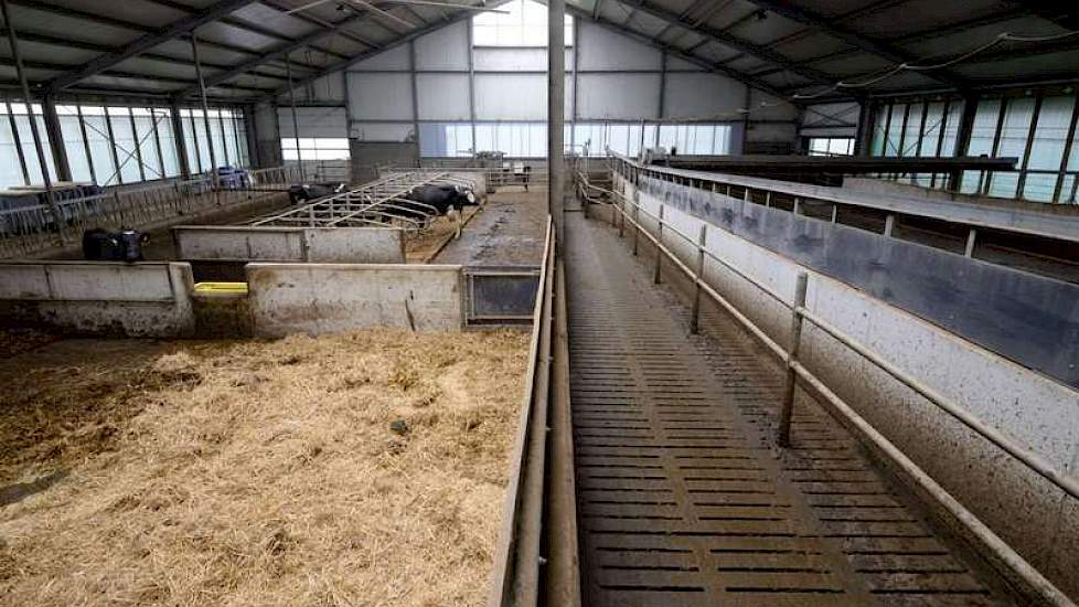 Overzicht van de terugloop uit de melkstal. Links het strohok, daarachter de boxen voor de aandachtskoeien. Tochtige koeien en dieren die droog moeten of die bekapt moeten worden, worden na het melken automatisch richting het strohok gedirigeerd.