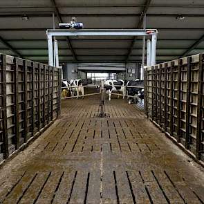 Koeien die naar de wachtruimte moeten, kunnen zo niet de voergang op en die blijft bovendien mooi schoon.