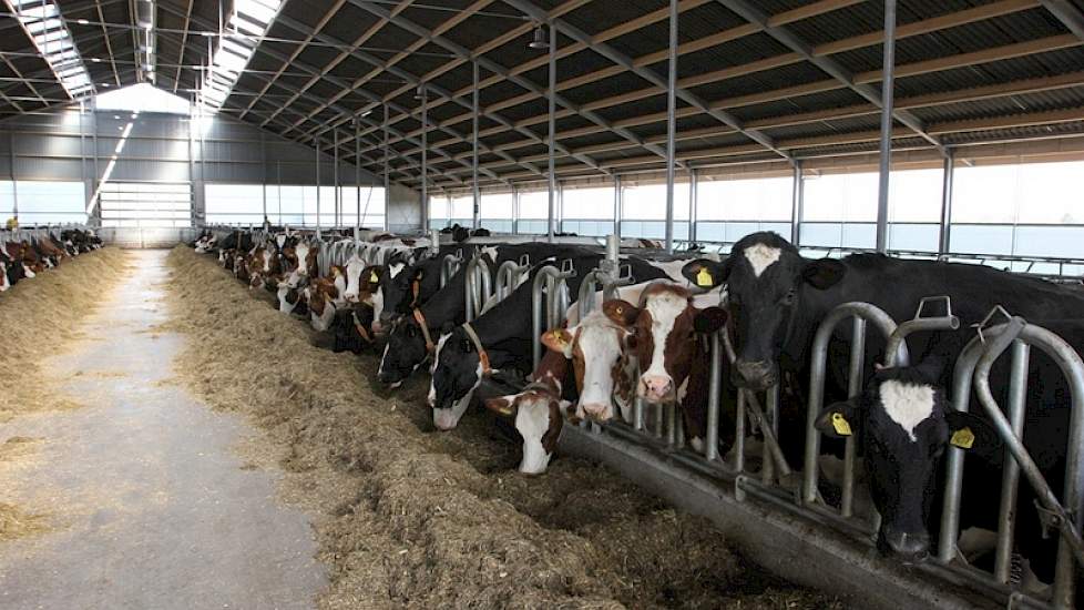 Boerkamp sloot een lange termijn overeenkomst met zijn buurman Johan Roetert, die om gezondheidsredenen gedwongen was te stoppen met zijn koeien. Boerkamp heeft zijn volledige MRIJ-veestapel, quotum en land in gebruik, tegen een afgesproken vergoeding, wa